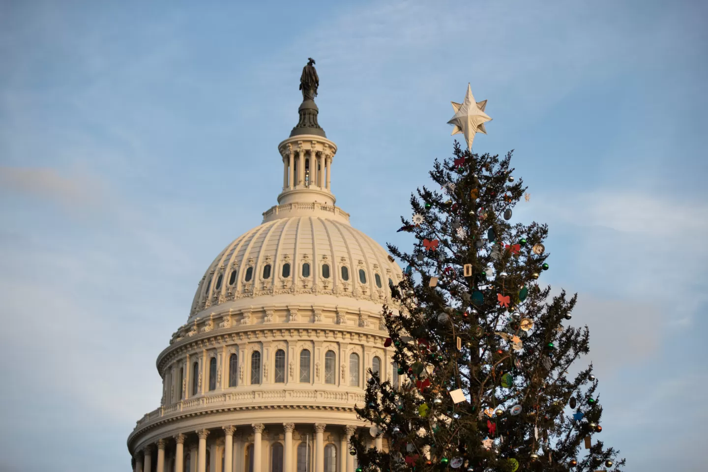 Capitol Dome, blue sky and Christmas tree.