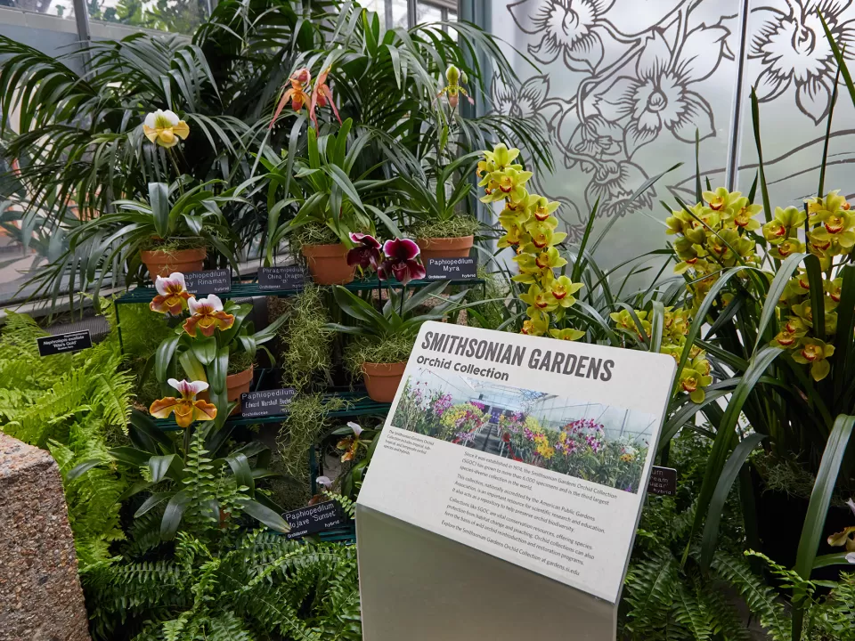 Informational sign and plants.