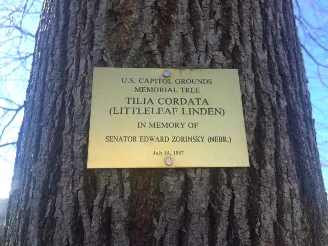 Plaque that reads: U.S. Capitol Grounds Memorial Tree  Tilia cordata (Littleleaf Linden)  In Memory of  Senator Edward Zorinsky (Nebr.)  July 14, 1987