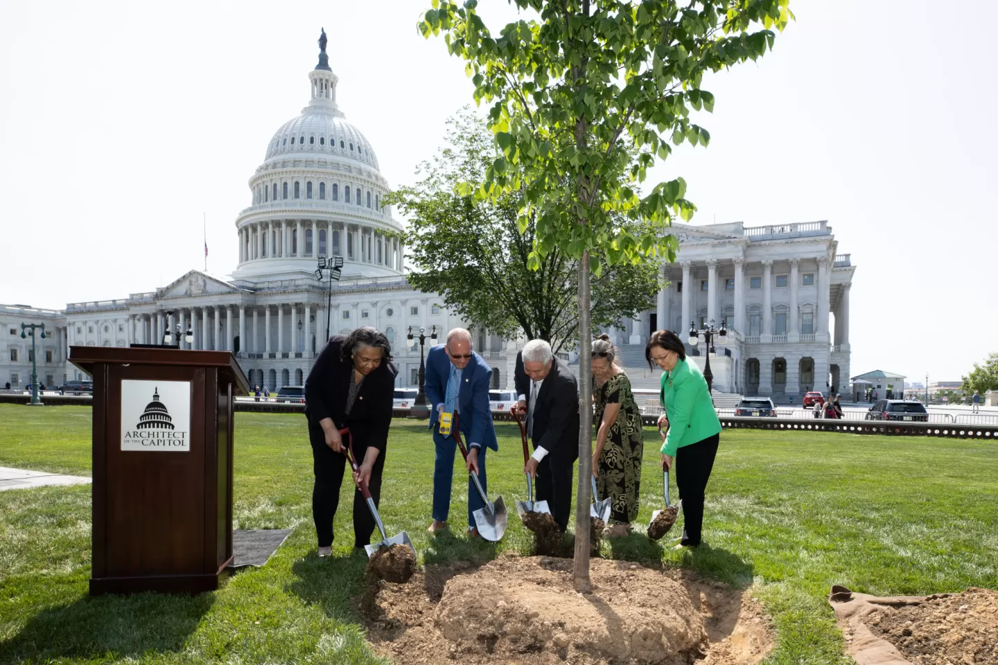 People holding shovels around a tree.