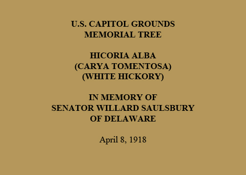 U.S. Capitol Grounds
Memorial Tree
Hicoria alba
(Carya Tomentosa)
(White Hickory)
In Memory of
Senator Willard Saulsbury
of Delaware
April 8, 1918