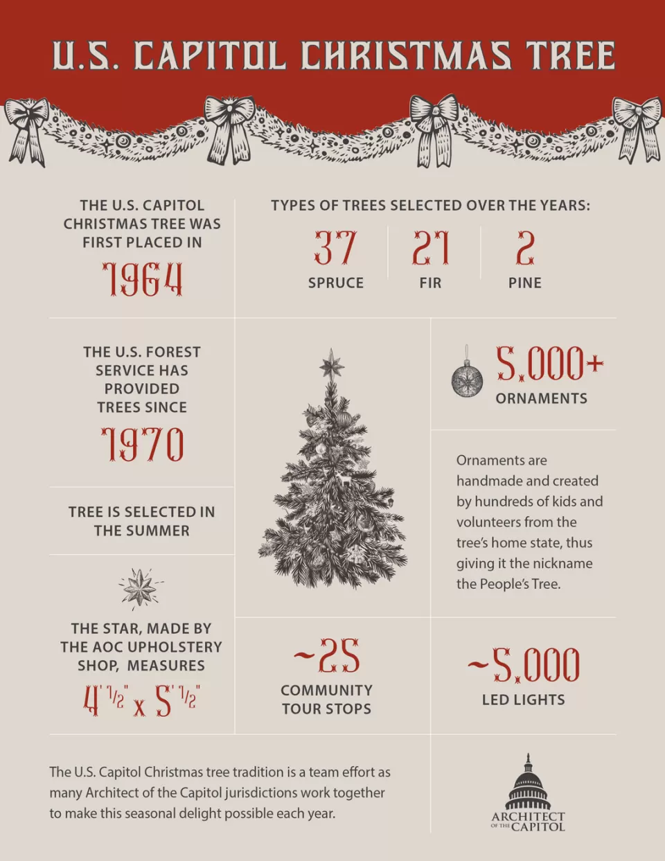 Graphic with facts about the tree.