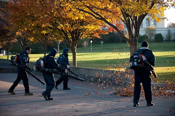The AOC Capitol Grounds and Arboretum crew clears autumn leaves.