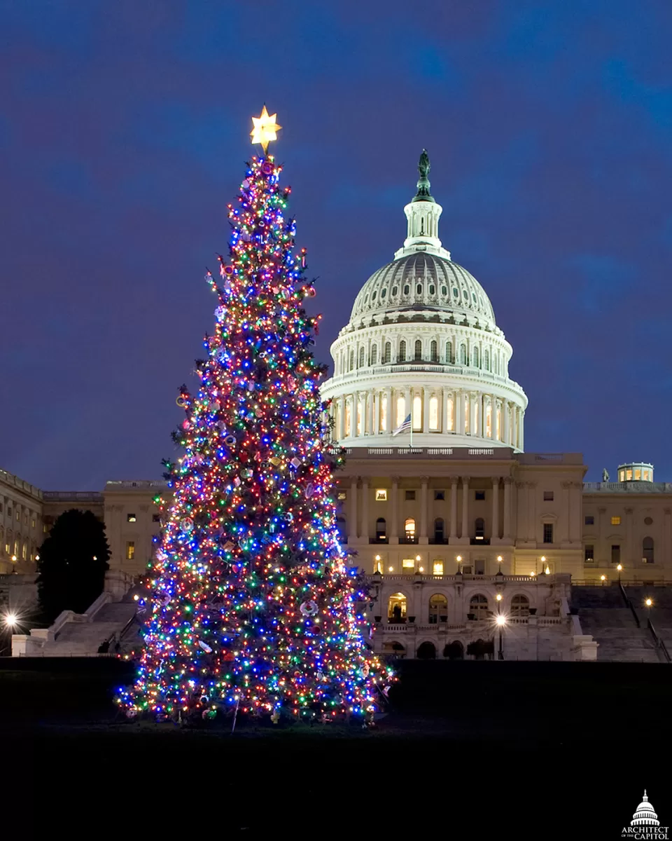 The U.S. Capitol Christmas tree illuminates the West Front.