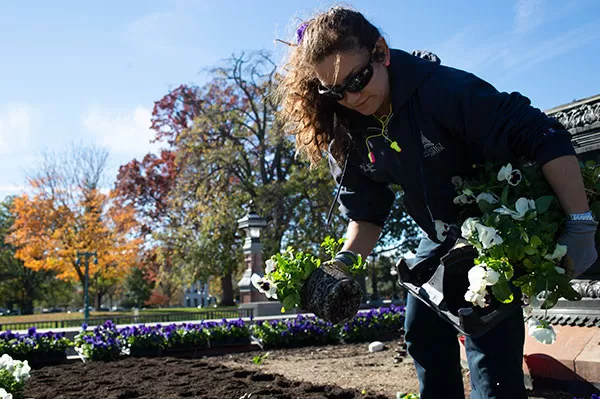 AOC Capitol Grounds and Arboretum preparing plant beds for spring during the autumn season.