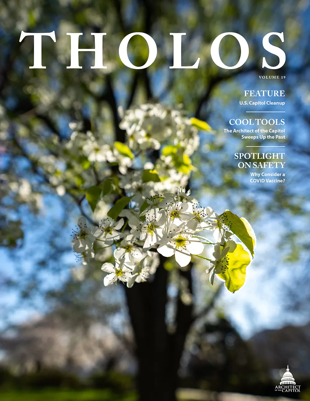 Cover of Tholos Magazine, Volume 19.