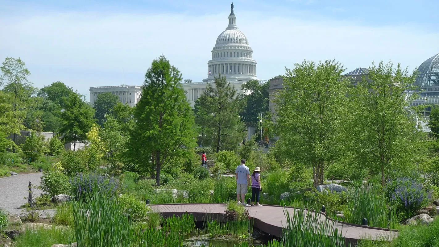 Visitors in the USBG National Garden with a view of the Conservatory and U.S. Capitol.