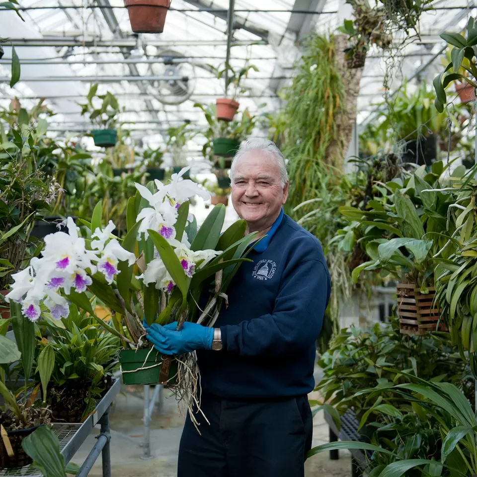 Gardener holding flowers in greenhouse