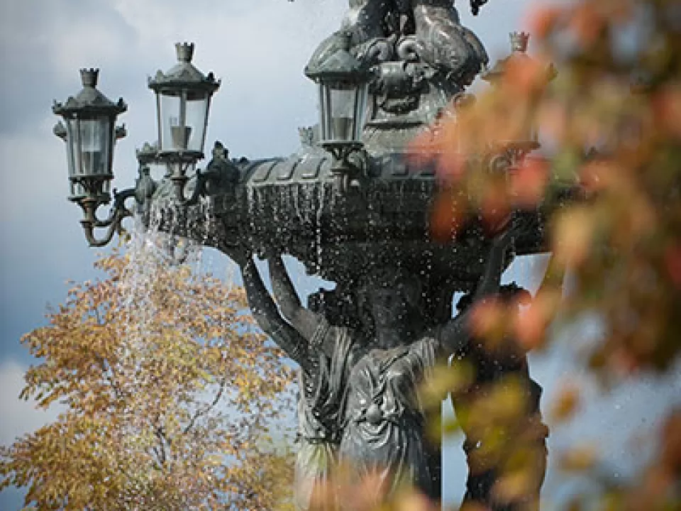 Fall foliage in Washington D.C.'s Bartholdi Park.