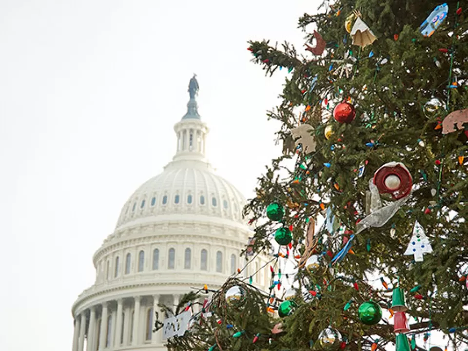 The U.S. Capitol Christmas Tree with ornaments in front of the Dome.