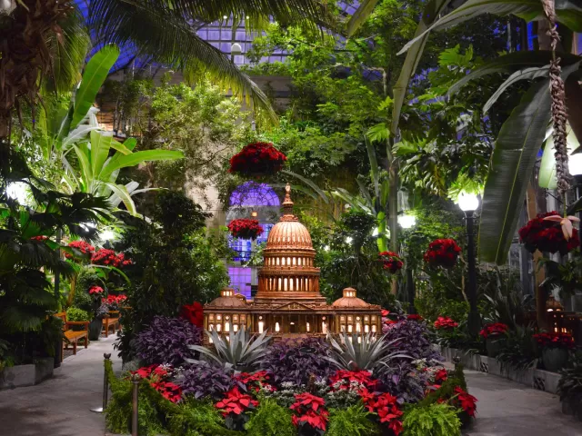 U.S. Capitol, made of plant materials, surrounded by poinsettias in the U.S. Botanic Garden Conservatory.