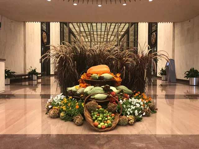 Display of items harvested from the 2018 AOC victory gardens at the Library of Congress.