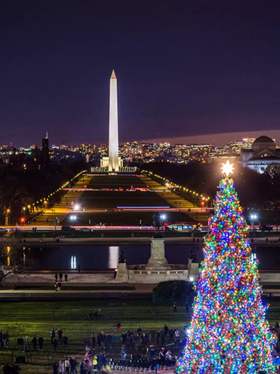 The U.S. Capitol Christmas Tree with lights on. National Mall in the distance.