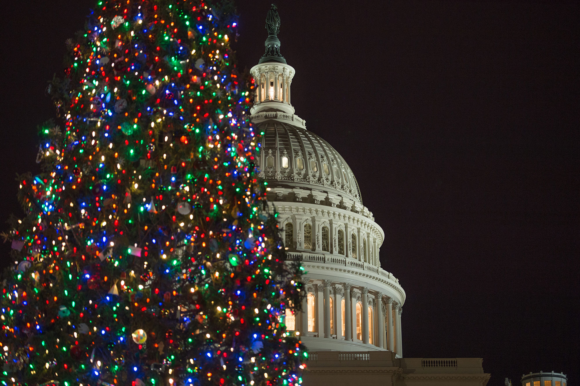 Capitol Christmas Tree Architect of the Capitol