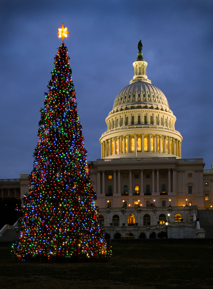 Capitol Christmas Tree Lights up Washington | Architect of the Capitol