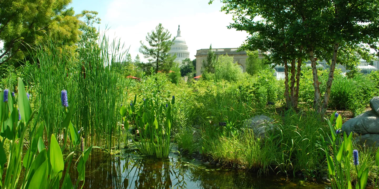 Grassy area in National Garden