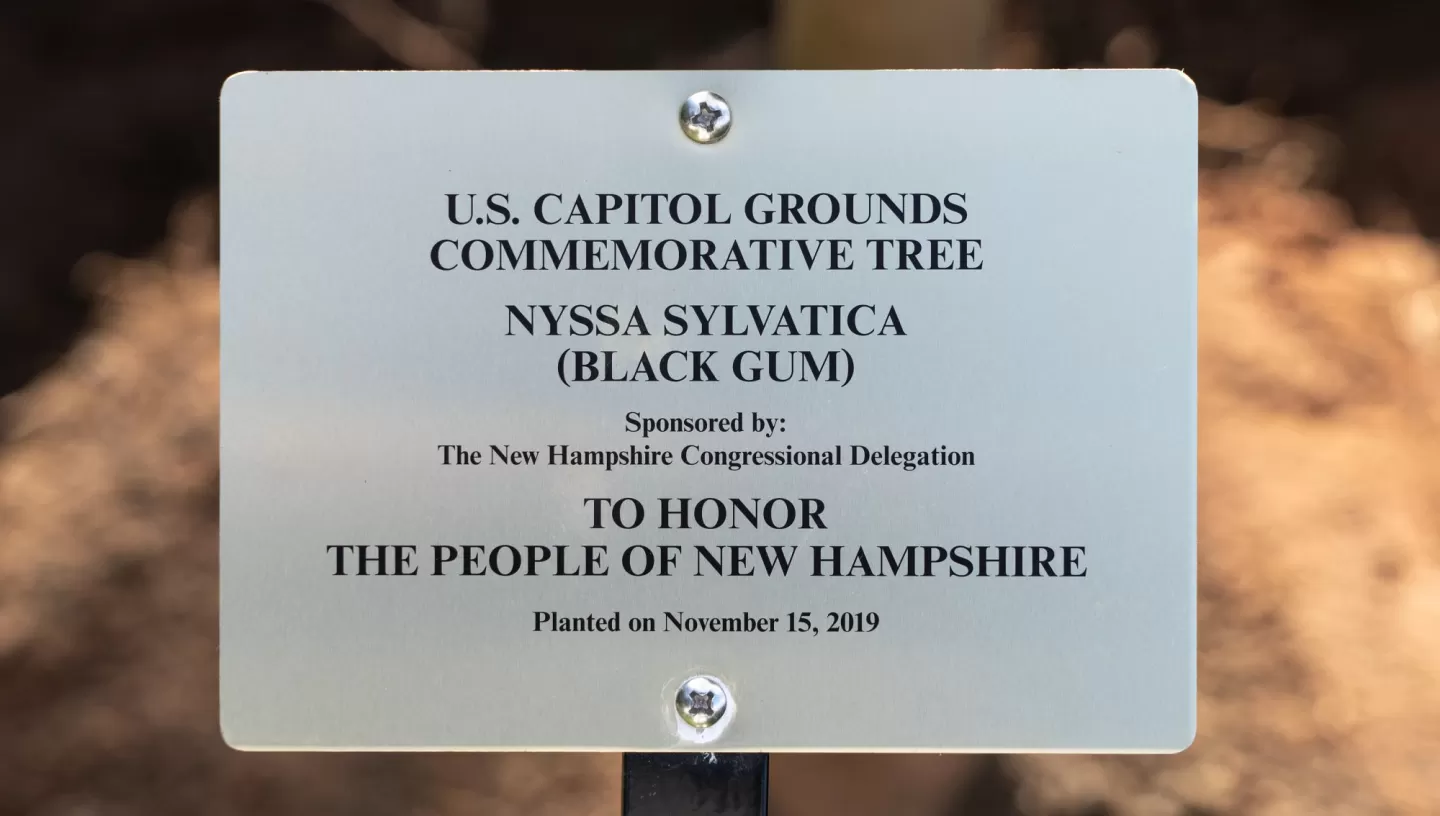 U.S. Capitol Grounds Commemorative Tree  Nyssa sylvatica (Black Gum)  Sponsored by The New Hampshire Congressional Delegation  To Honor The People of New Hampshire  Planted on November 15, 2019