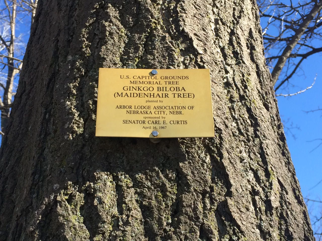 Photo of plaque.