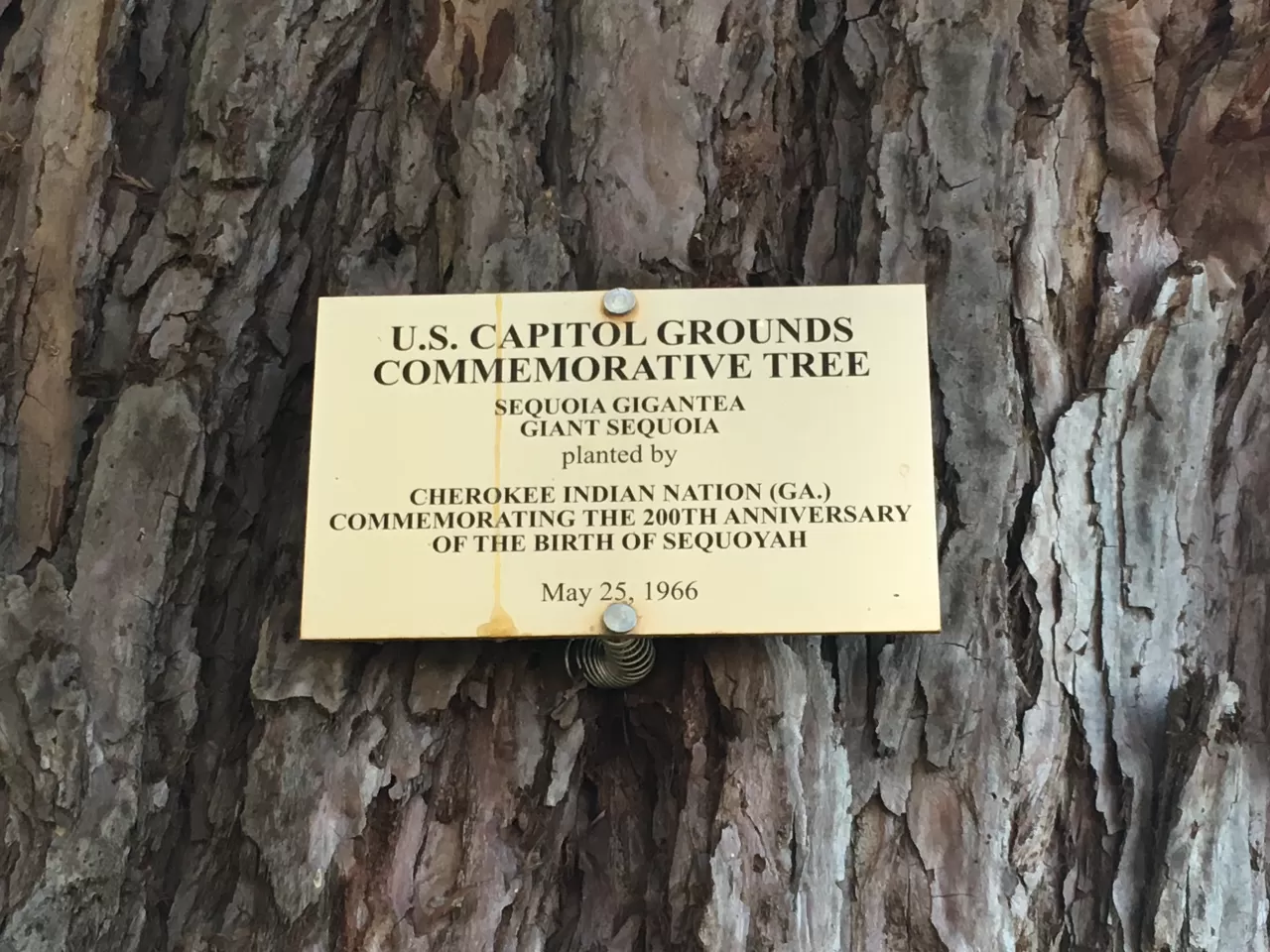 Photo of plaque.