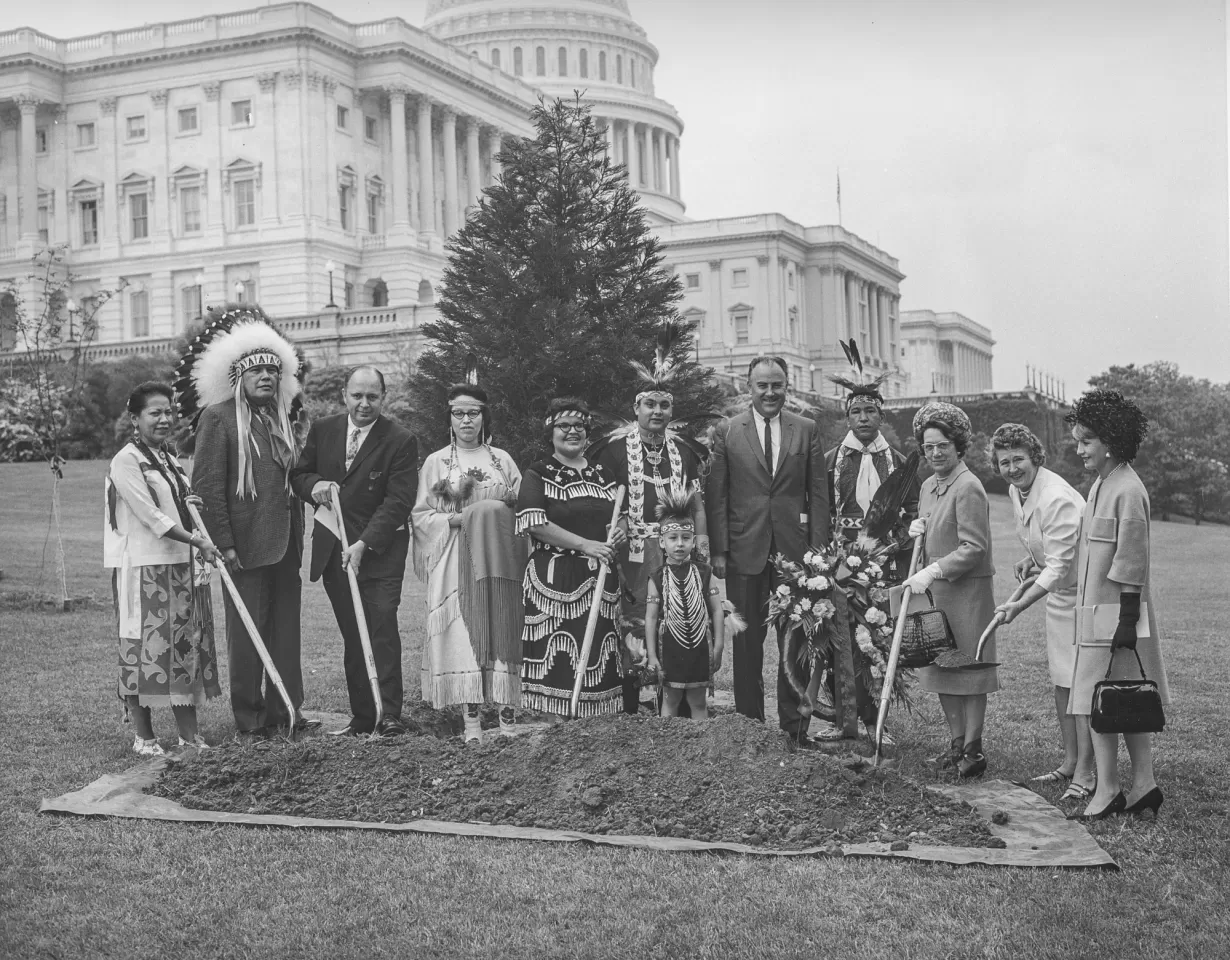 People standing in front of a tree.