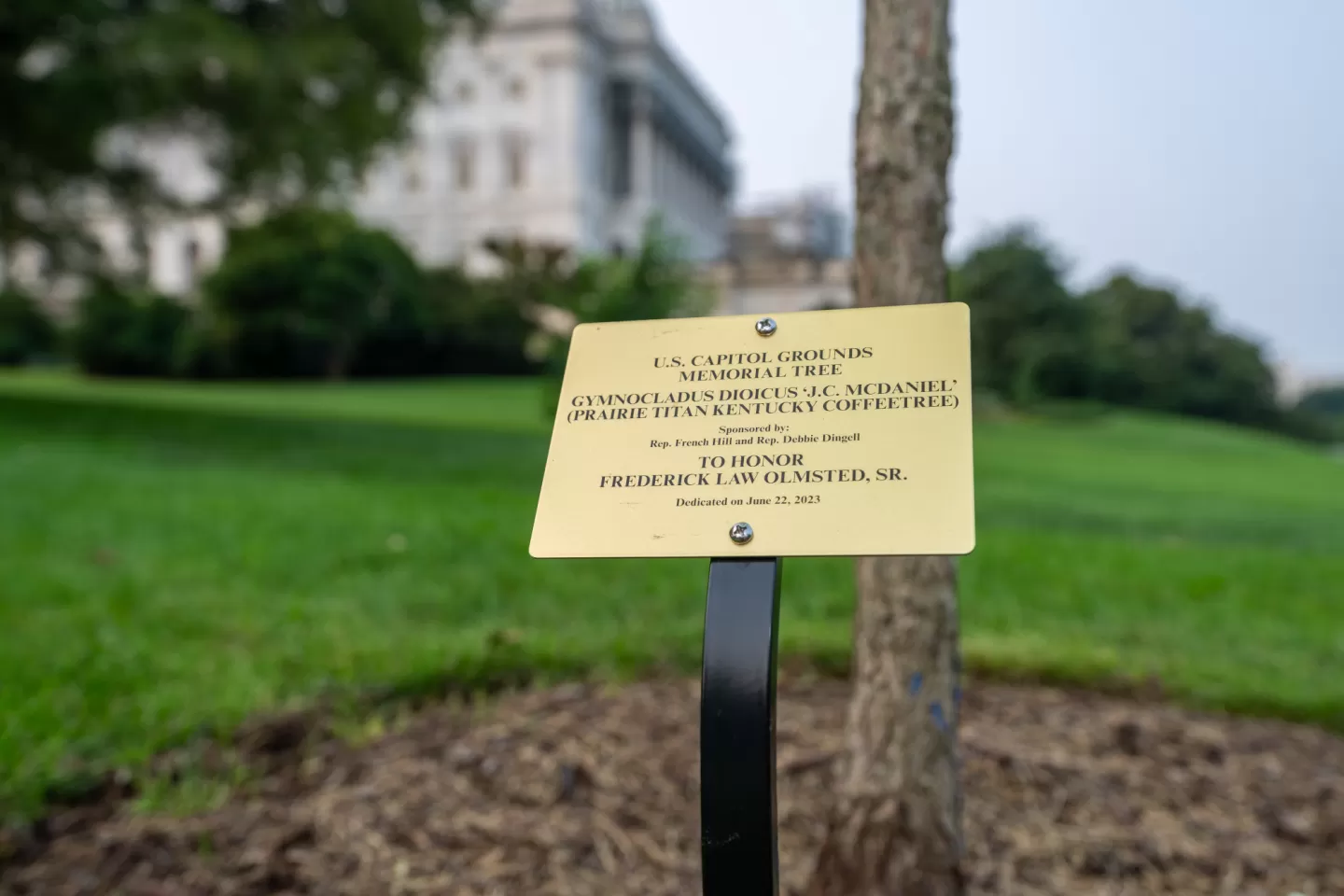Photo of plaque.