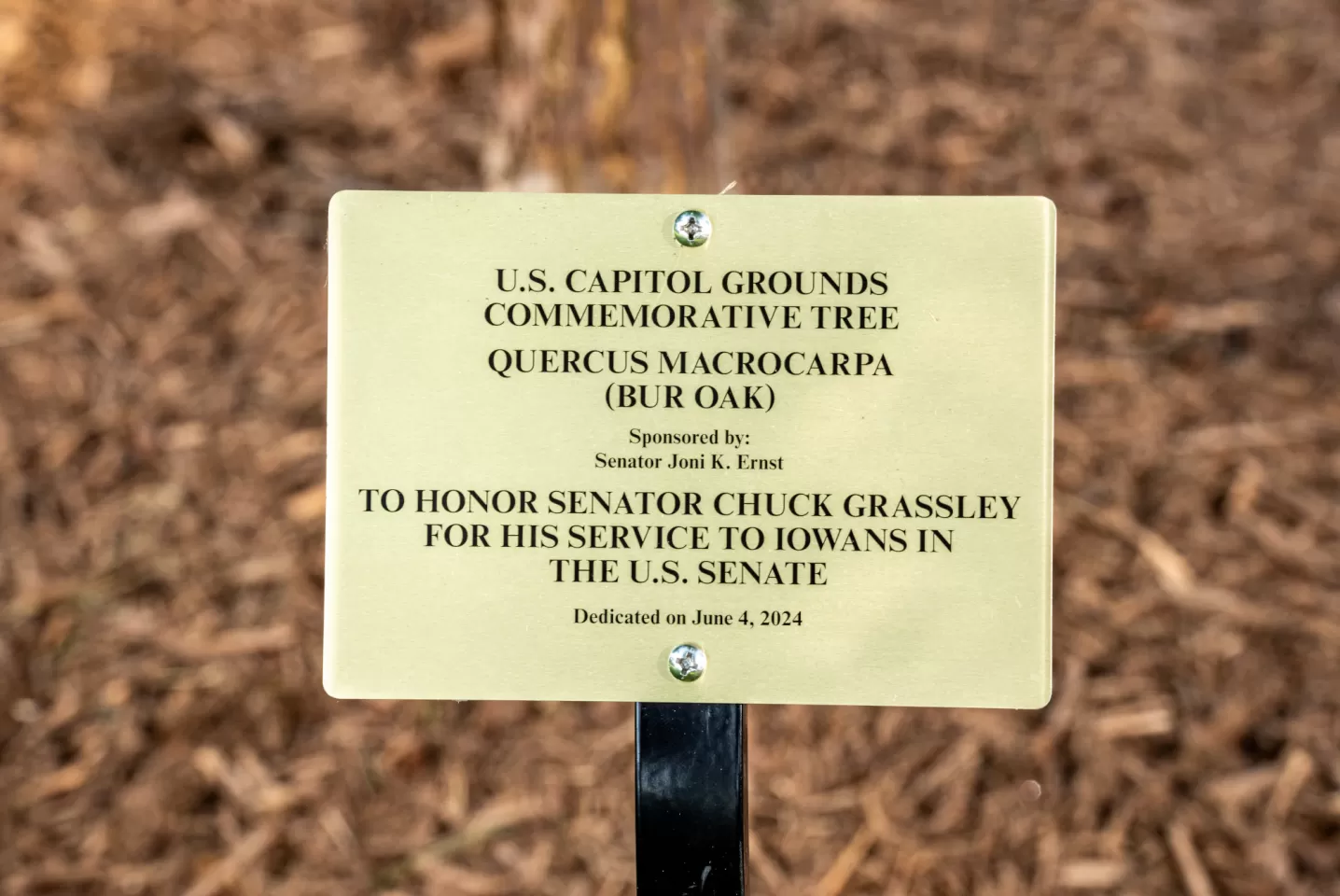 Close up of plaque.