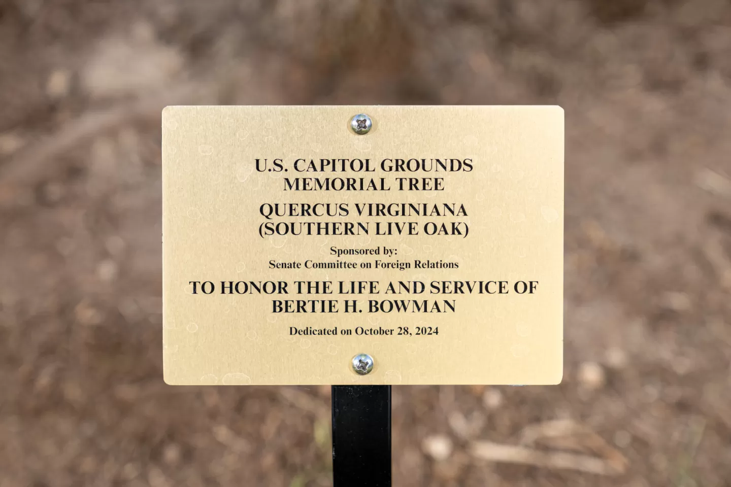 Plaque.