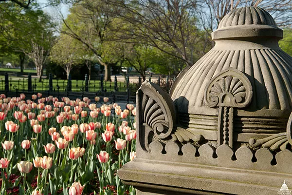 Tulips bloom near an Olmsted hardscape on the U.S. Capitol West Front.