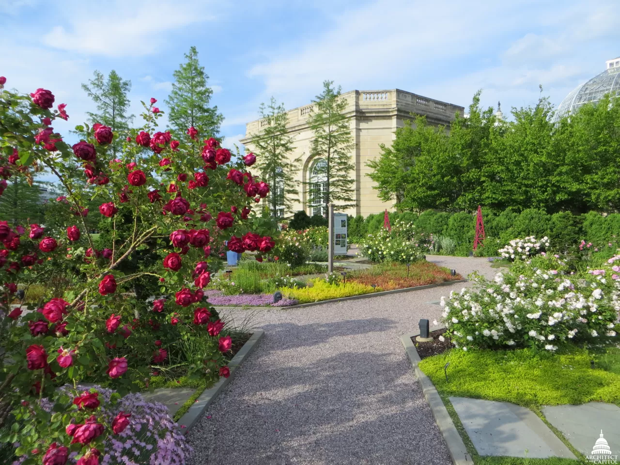 The Rose Garden with the Botanic Garden Conservatory in the background.