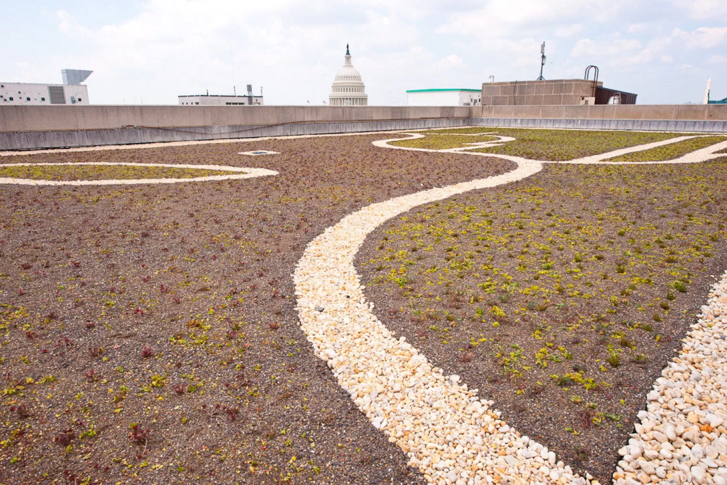 View of the U.S. Capitol dome from the green roof at the Dirksen Senate Office Building.