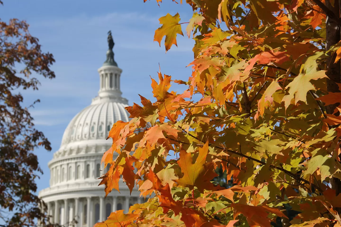 The U.S. Capitol Dome in the fall.