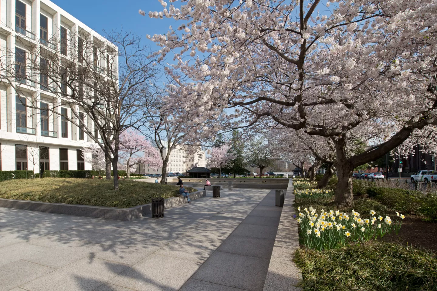 Hart Building Dc Hart Building Cherry Trees | Architect of the Capitol