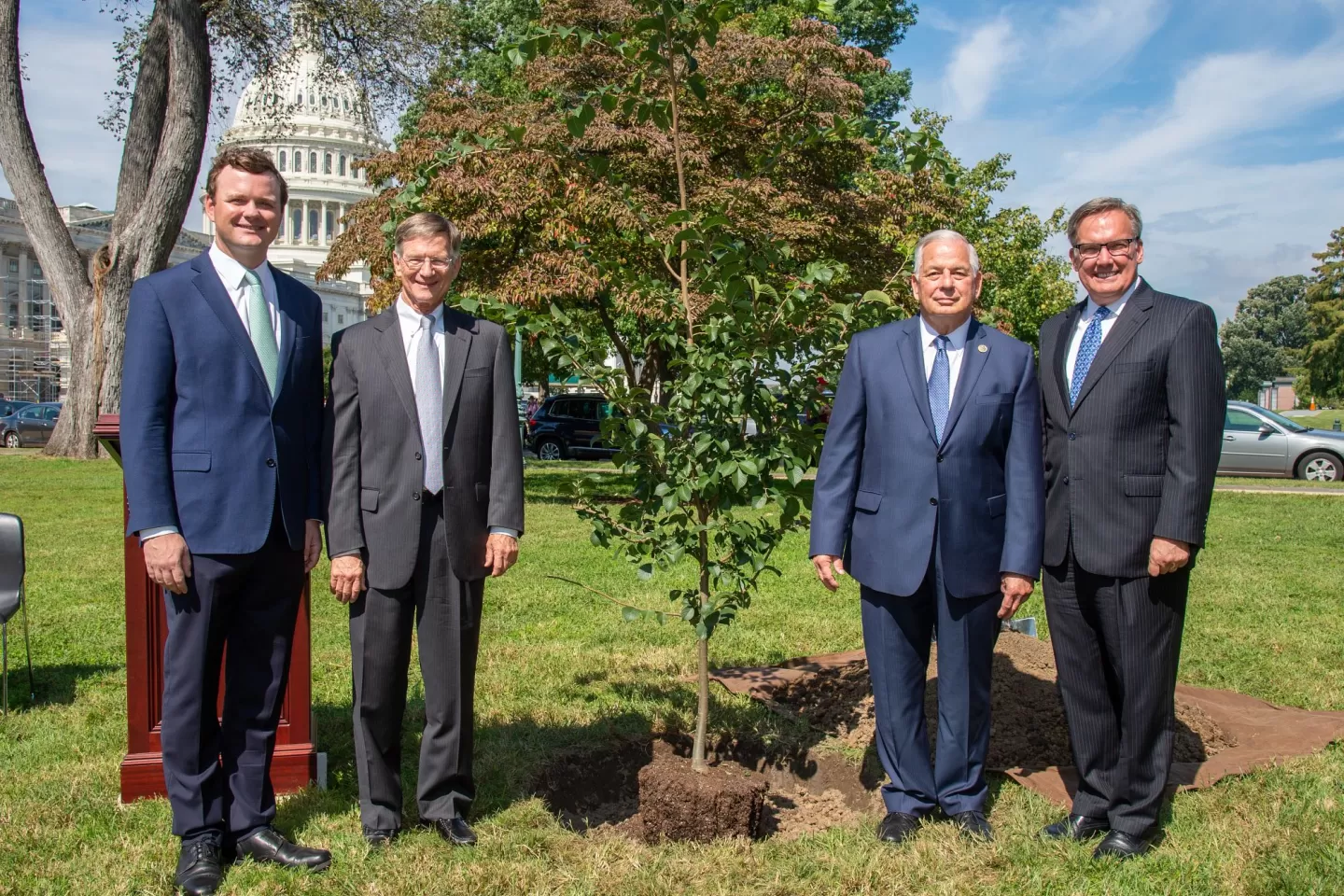 People standing on either side of a tree.