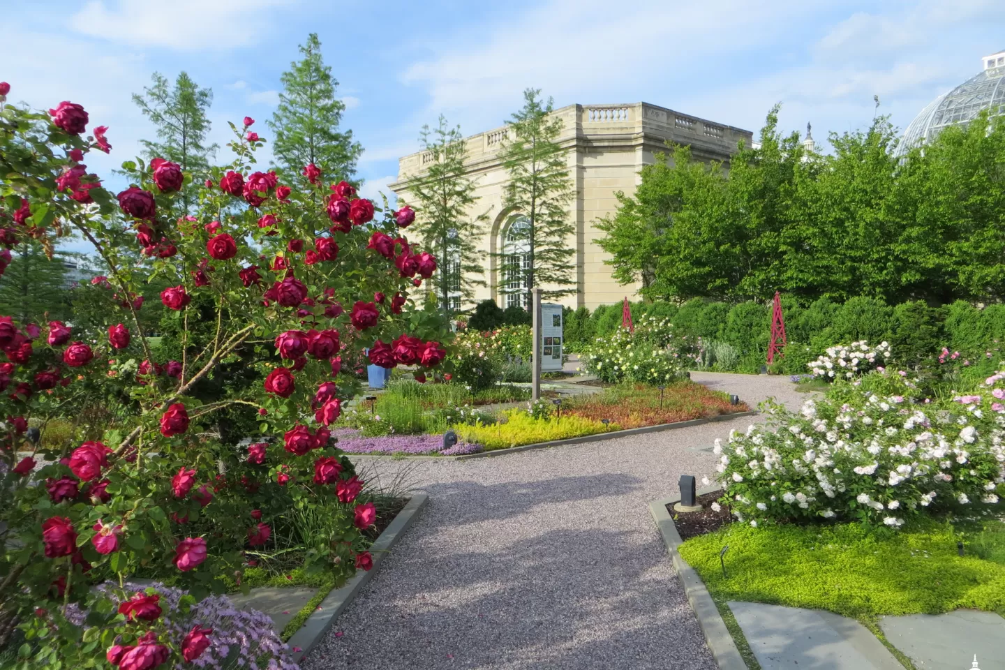 The Rose Garden with the Botanic Garden Conservatory in the background.