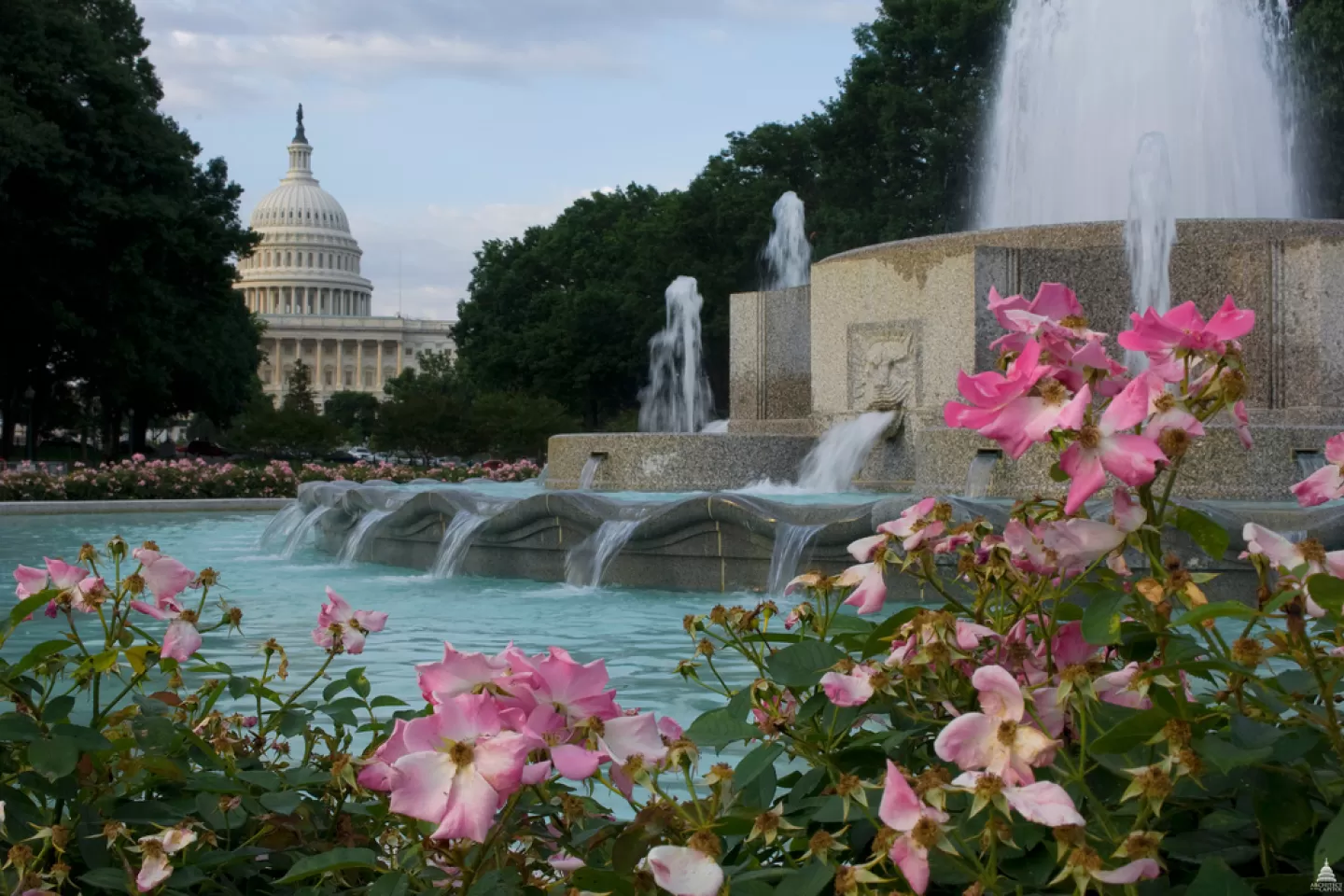 Building and fountain.