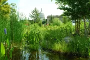 Grassy area in National Garden