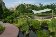 Walkway in National Garden