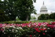 The U.S. Capitol Dome in the spring.