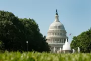 The U.S. Capitol Dome as viewed from Senate Park.