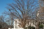 Tree for the state of Maryland on the U.S. Capitol Grounds during winter.