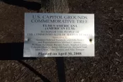 Plaque that reads: U.S. Capitol Grounds Commemorative Tree  Ulmus americana (American Elm)  To Honor the People of the Commonwealth of Massachusetts  Sponsored by Senators Edward Kennedy and John Kerry and Representatives Michael Capuano, William Delahunt, Barney Frank, Stephen Lynch, Edward Markey, James McGovern, Richard Neal, John Olver, John Tierney, and Niki Tsongas  Planted on April 30, 2008