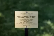 Photo of plaque.