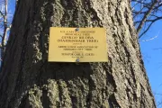 Photo of plaque.