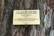 Photo of plaque.