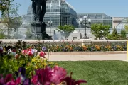 Spring flowers in USBG's Bartholdi Park.