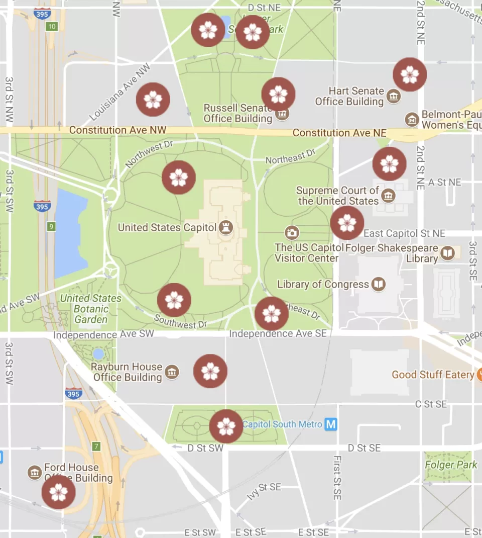 Map of cherry tree groups found on the U.S. Capitol campus.