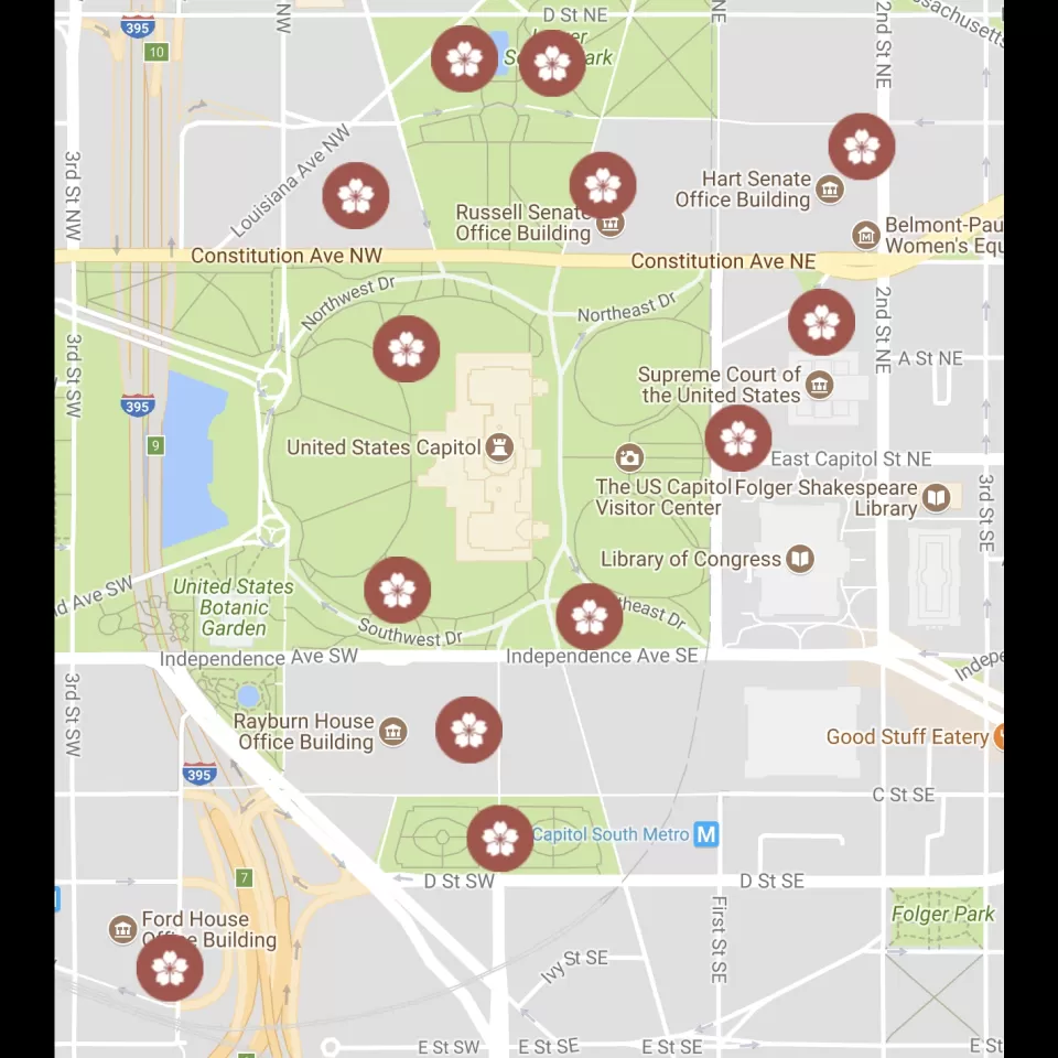 Map of cherry tree groups found on the U.S. Capitol campus.