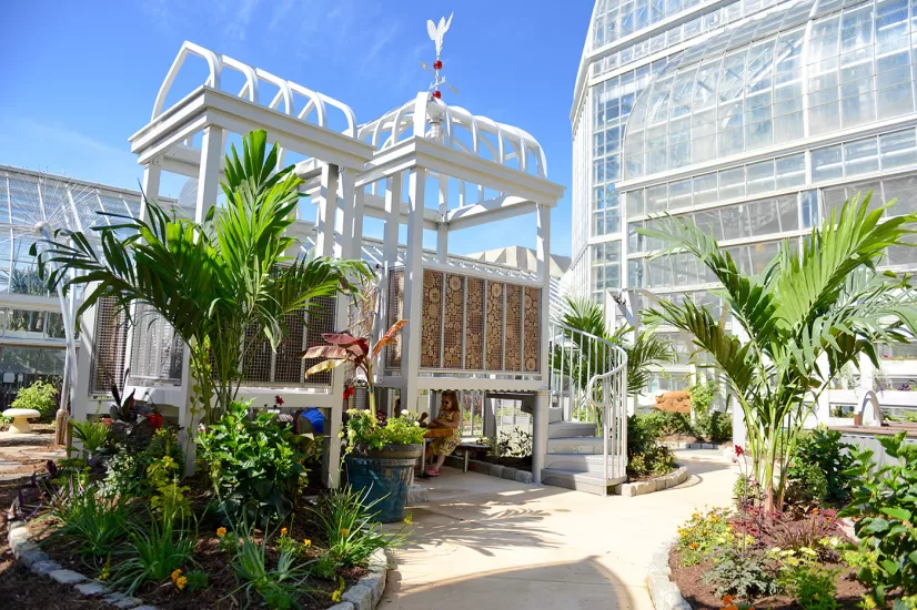 Updated Children's Garden opens at U.S. Botanic Garden.