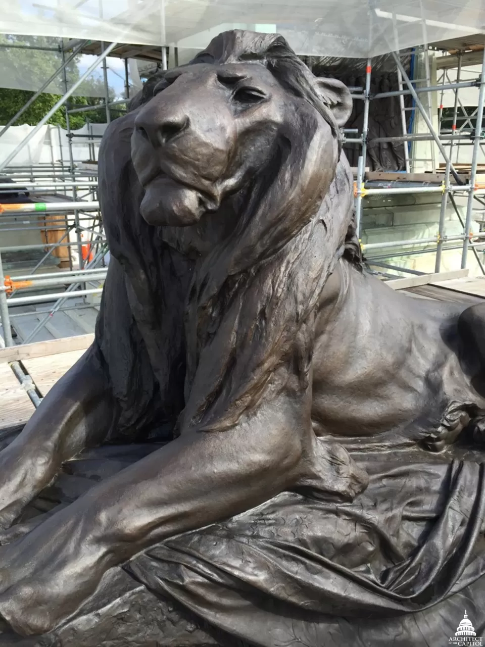 Grant Memorial lion after corrosion was removed from the sculpture.
