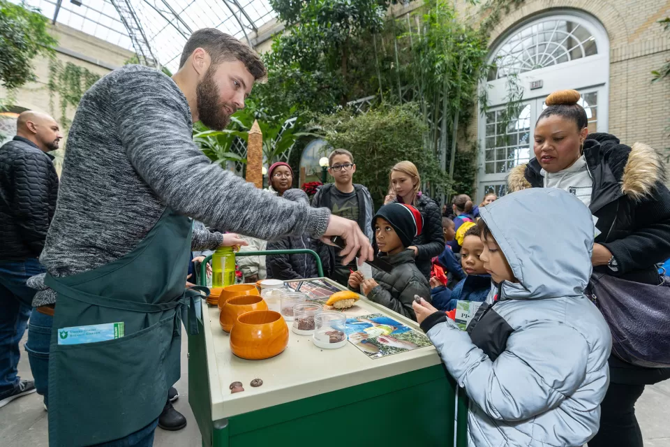 A USBG volunteer shares the story of cacao (Theobroma cacao) with young visitors.